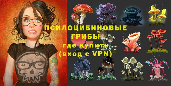 сатива Ладушкин