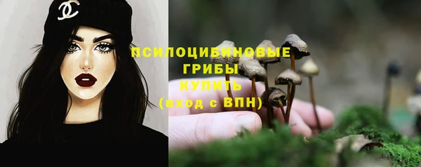 мет Лагань