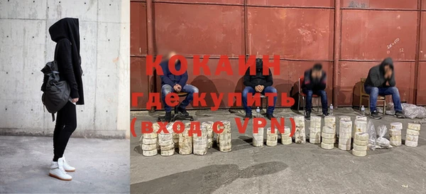 сатива Ладушкин