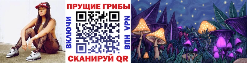 Галлюциногенные грибы Psilocybine cubensis  Лысково 